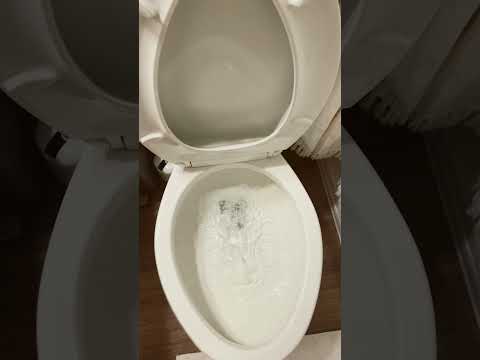 Kohler Cimarron At Home 