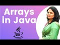 Programs on Arrays