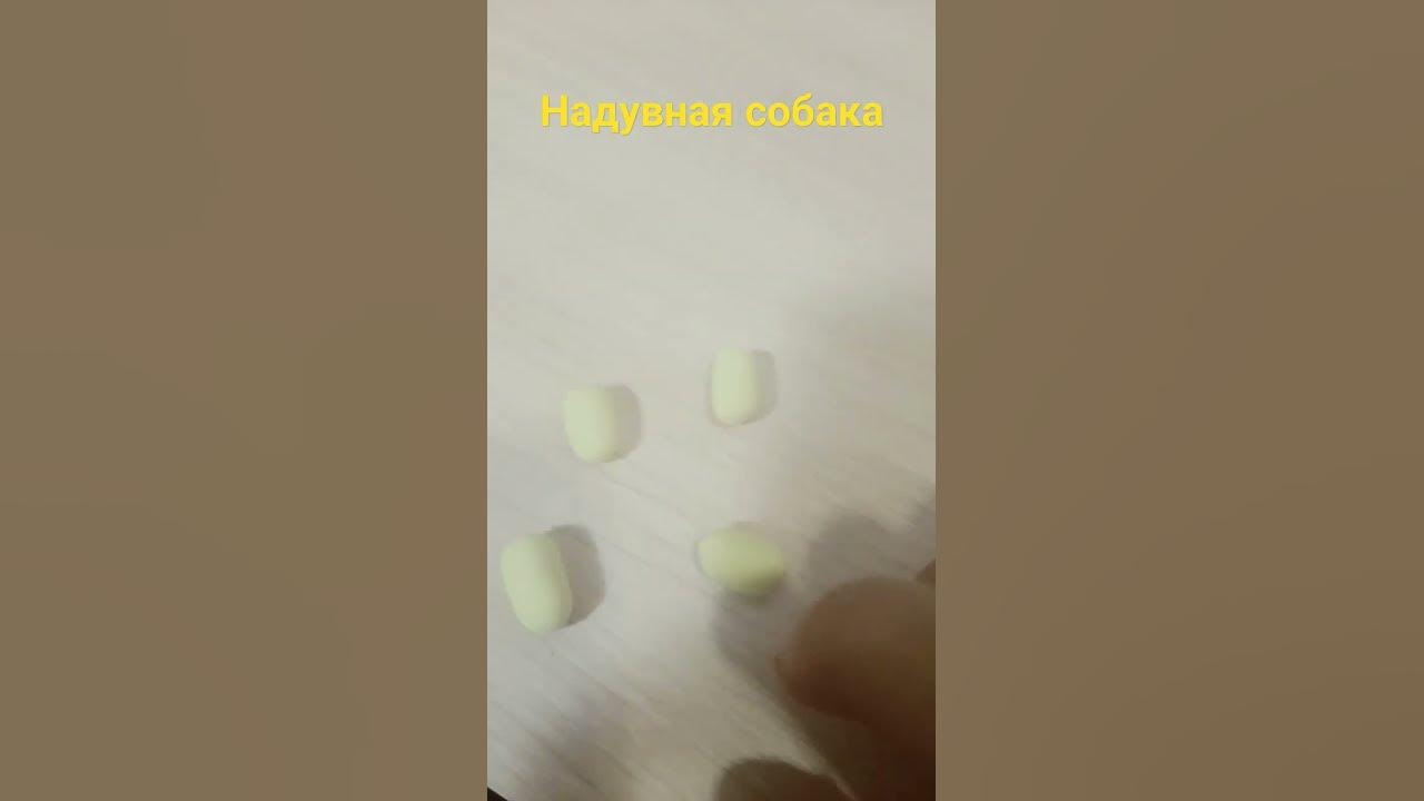 надувная собака - YouTube