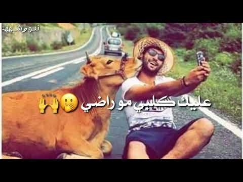 قصف جبهات حالات واتساب بدون حقوق بمشيها يمزاجي خاب لا تجيني