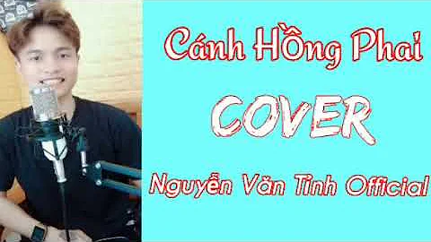 Cánh Hồng Phai ( Cover ) Nguyễn Văn Tỉnh Official