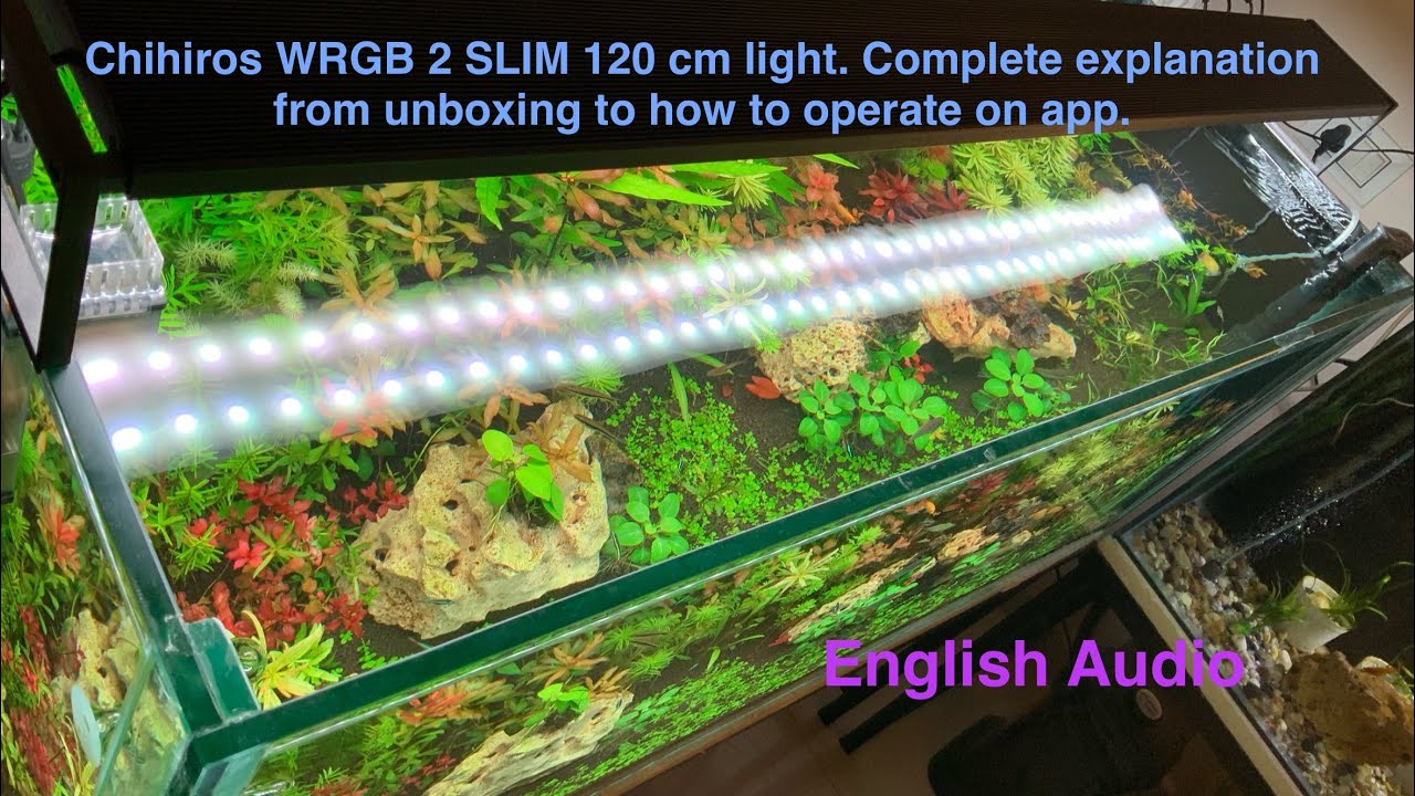 Chihiros WRGB 2 SLIM 120 cm light full explanation video from