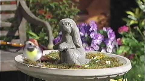 Rhyme Time Rhythm (All Versions) Part 226