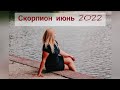 Скорпион июнь 2022