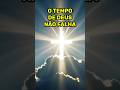 No Tempo Certo. Por #chicoxavier #short #espiritismo #mensagem #tempodedeus #allankardec