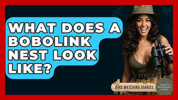 What Does A Bobolink Nest Look Like? - Bird Watching Diaries