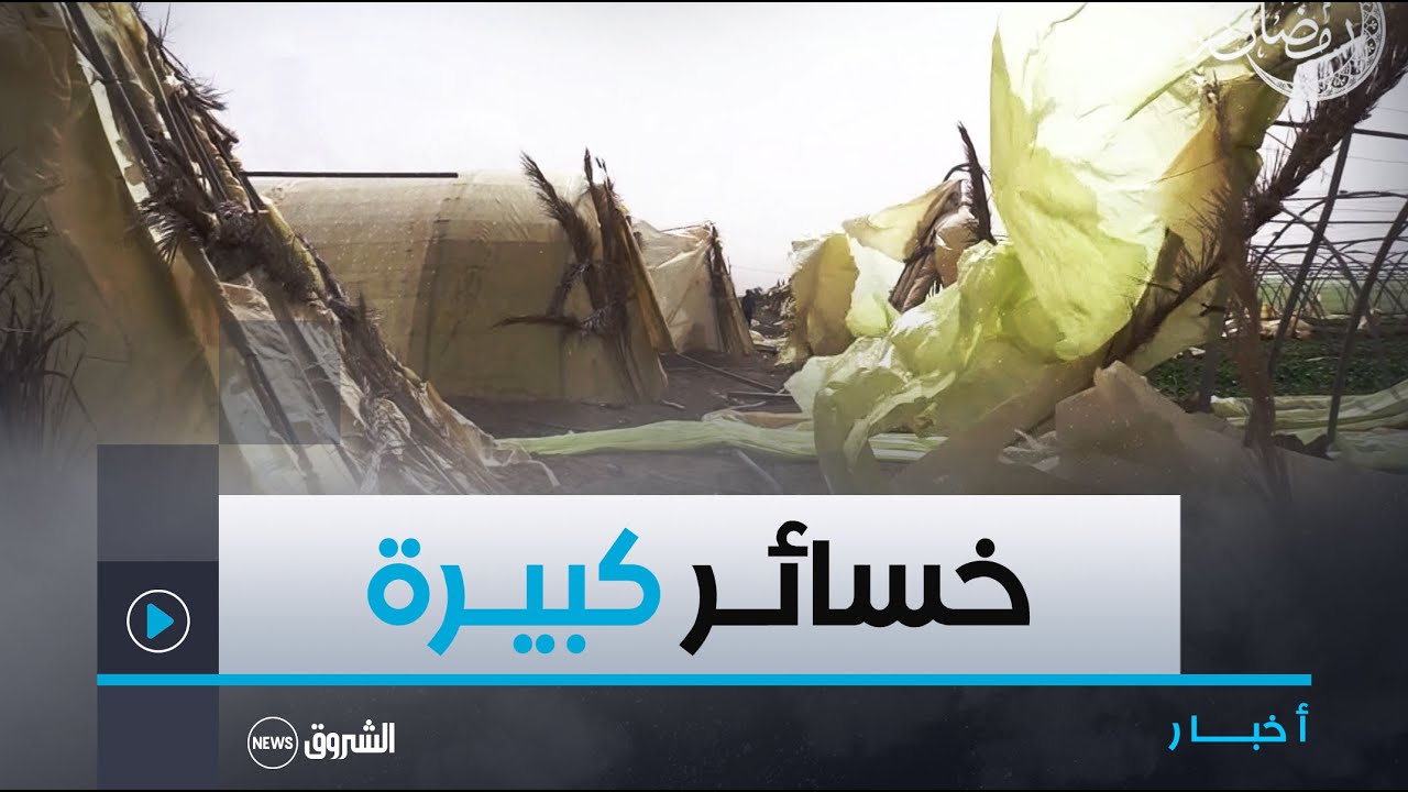 #بسكرة| الرياح القوية تكبد فلاحين #خسائر معتبرة