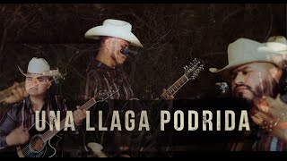 Video thumbnail of "Una Llaga Podrida (LIVE) - Carlos y los del Monte Sinai"