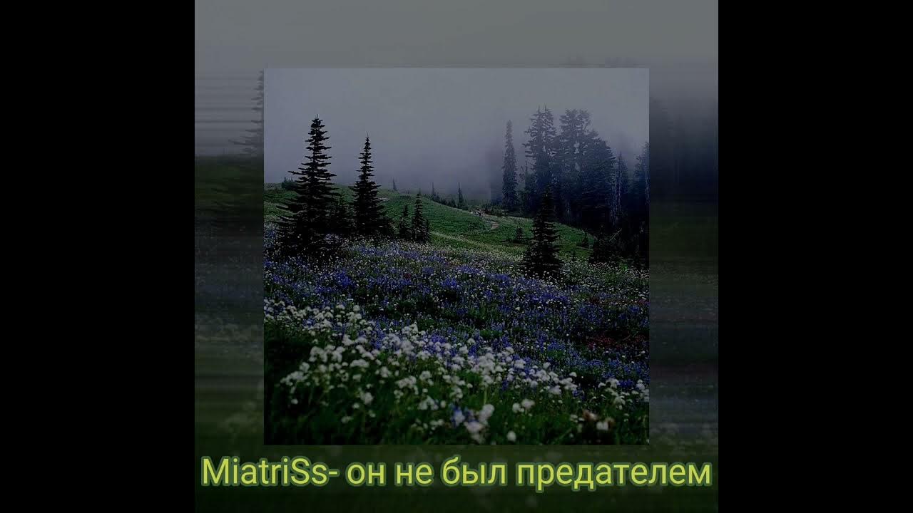 Песня он не был предателем. Песня он не был предателем