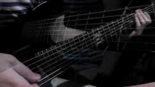 Lifeforms | String Theory | Guitar cover