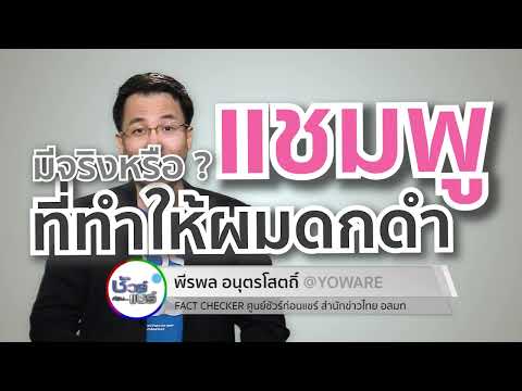 วีดีโอ: คุณดูแลโดมวิลโลว์อย่างไร?