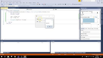 Visual Basic Tutorial - Name & Age App