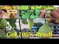 How To Grow And Care Organic Bottle Gourd At Home Garden // Complete Tutorial On Bottle Gourd