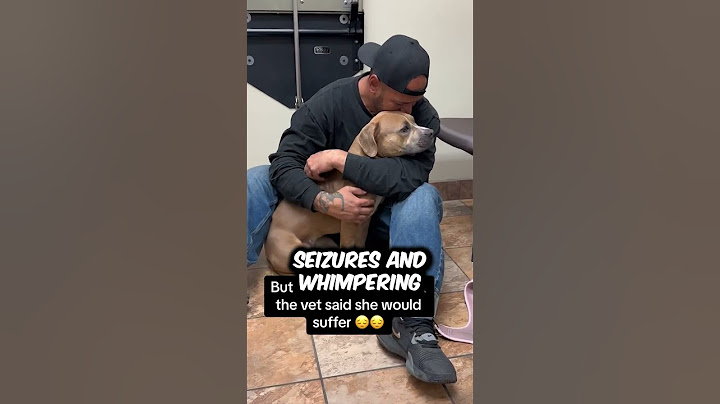 They had to say goodbye to their rescue dog ❤️