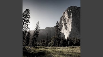 Superlative Backdrops for Rejuvenating Experiences