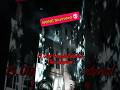 The Darkest Secret of Aradale Asylum #horrorstories #shorts #ghost