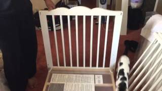 Ikea Hensvik Crib Instructions De Montage 21 Fr Ecobuilderz Com Ikea Hensvik Crib Instructions De Montage 21 Fr Ecobuilderz Com