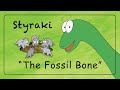 Fossil Adventure Quiz