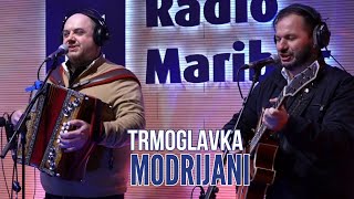 MODRIJANI - Trmoglavka