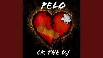 PELO (Radio Edit)