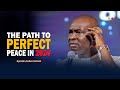 WATCH THIS IF YOU WANT TO HAVE PERFECT PEACE IN 2024 - APOSTLE JOSHUA SELMAN