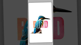 Text Effect | Photo Editing | Trending Canva Tutorial 2025 ✨💥#viralshort #photoediting #textediting
