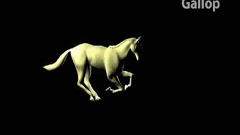 Horse animation motion cycles.