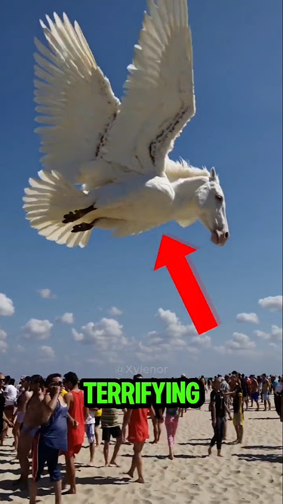 TOP 5 TERRIFYING BIRD SOUNDS IN THE WORLD😨😫