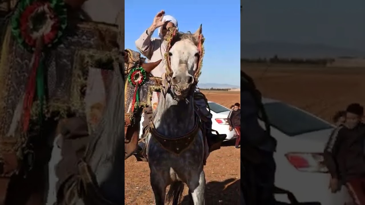 عرش بني لنت السبعين تيارت🇩🇿 Mekadim tayeb 🇩🇿 بني يحي🇩🇿