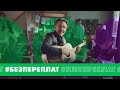 Всегда на связи #БезПереплат — Говори бесконечно при любом балансе