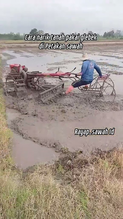 stelan narik tanah di Petakan pakai glebek‼️Traktor sawah #traktor  #g1000 #shortvideo #tractor #fyp