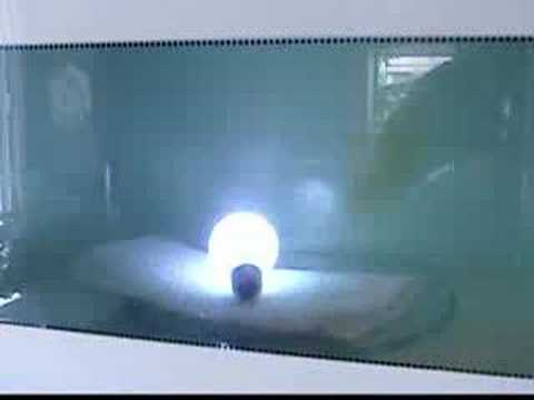 microwave lightbulb part 2