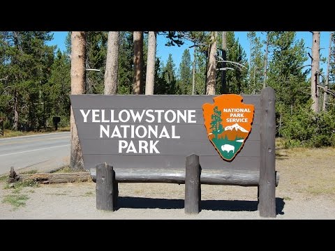 Video: National Park Service Vraagt mensen Om Te Stoppen Met Het Aaien Van Bizons