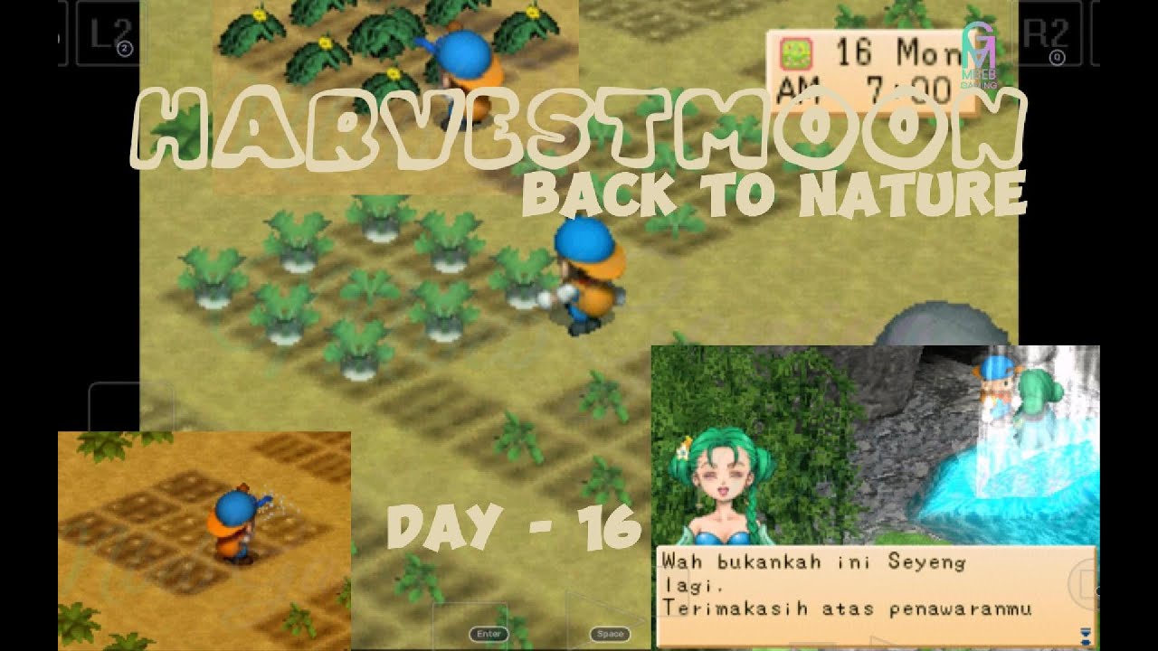 Harvest Moon Back To Nature - Day 16 🍀 - YouTube