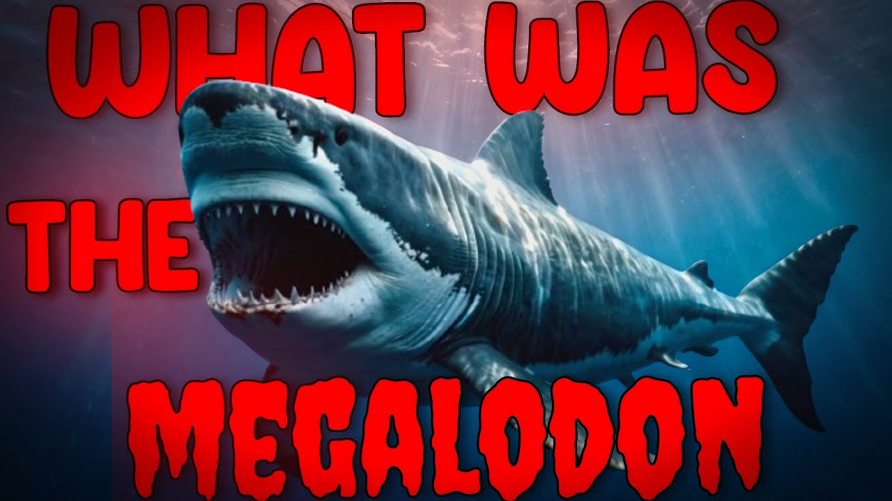 Megalodon: The True Story of Earth’s Largest Shark