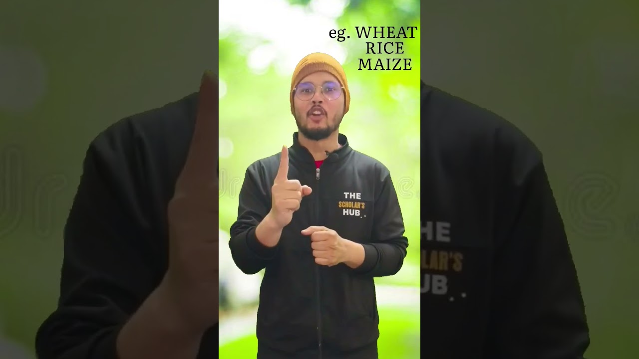 dicot & monocot seed .....