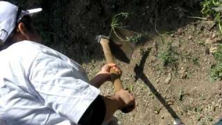 MVI_0103.AVI