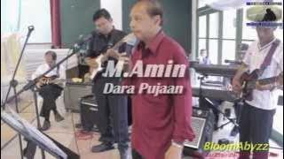 M.Amin - Dara Pujaan ~ Kembara 60an Pop Yeh Yeh