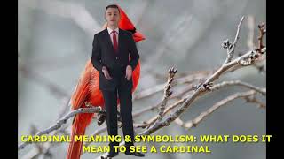 CARDINAL MEANING & SYMBOLISM  WHAT DOES IT MEAN TO SEE A CARDINAL