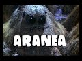 Dungeons and dragons lore aranea