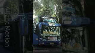Bus Pandawa 87 "Cut Nyak Dhien" #shorts #buspandawa87
