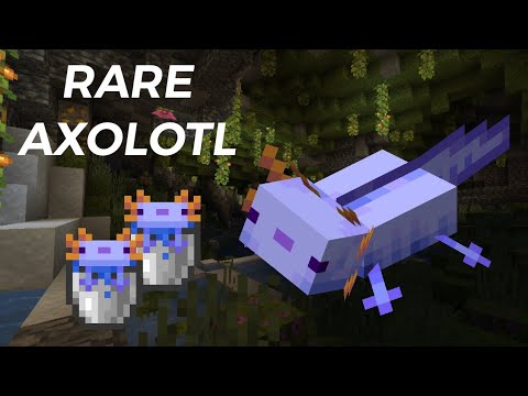 How To Summon The Blue Axolotl | Minecraft Bedrock - YouTube