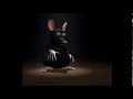 dancing rat dances to Tobu - CandyLand