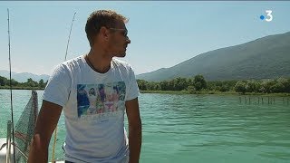 Pourquoi l'eau du lac du Bourget est-elle devenue bleu turquoise ?