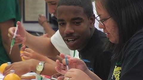 Work-Based Learning