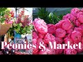 Dry storing peonies  spring flower bar  our 1st farmers market  vlog