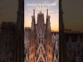 Sagrada Familia #explore #sagradafamilia #spaintravel #eurotrip2026 #barcelona #gaudi
