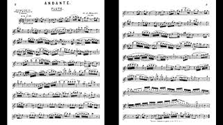 Video thumbnail of "Mozart Andante for Flute in C Major (piano accompaniment)"