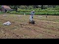 THIS IS HOW FARMERS PREPARE SOIL WITH FERTILIZER BEFORE MAKING BEDS – SMART METHOD! - Agriculture