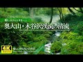 【癒し】奥大山の清流と自然あふれる新緑（CMロケ地／木谷沢渓流）疲れた心身の回復・リラックス効果・勉強中や作業用、目覚めの朝や眠れない夜にもどうぞ。